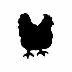Securit FB-CHICKEN, 300 x 500 mm, Mélamine, Résine, Velcro, Noir