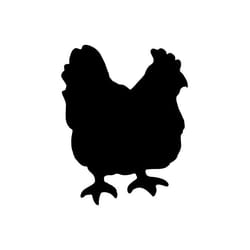 Securit FB-CHICKEN tableau à craie et accessoires Noir Mélamine, Résine, Velcro