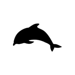 Securit FB-DOLPHIN tableau à craie et accessoires Noir Mélamine, Résine, Velcro