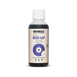Biobizz - Régulateur pH - Bio Up - 250ml