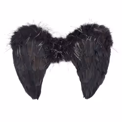 Souza Nyx, Ailes de déguisement, Enfant, unisexe, Noir, Halloween, 290 mm