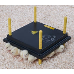 Plaque chauffante pour poussins - 25 x 25 cm 15W / 220-240 V