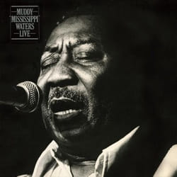 Music On Vinyl Muddy Waters - Muddy 'Mississippi' Waters Live, Vinyl
