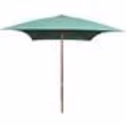vidaXL Parasol avec poteau en bois 200 x 300 cm Vert - TU