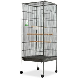 Vidaxl - Cage à oiseaux Noir 54 x 54 x 146 cm Acier