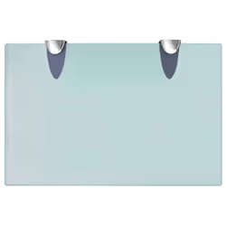 VidaXL 243778 étagères Verre trempé, Zinc Transparent