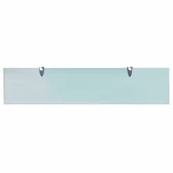 VidaXL 243784 étagères Verre trempé, Zinc Transparent