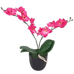 vidaXL Plante artificielle avec pot Orchidée 30 cm Rouge - TU