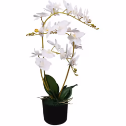 Ajoutez de la verdure à votre intérieur avec cette orchidée artificielle réaliste. L'orchidée fait 65 cm de haut et sera un e ...