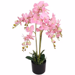 Ajoutez de la verdure à votre intérieur avec cette orchidée artificielle réaliste. L'orchidée fait 75 cm de haut et sera un e ...