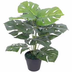 Description générale Ajoutez de la verdure à votre intérieur avec cette plante monstera artificielle réaliste. Mesurant 45 cm ...