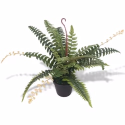 Ajoutez de la verdure à votre intérieur avec cette plante artificielle réaliste fougère. La fougère fait 50 cm de haut et ser ...