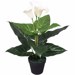 Ajoutez de la verdure à votre intérieur avec cette fleur lis Calla artificielle réaliste. La fleur lis Calla fait 45 cm de ha ...