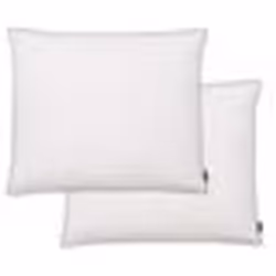 vidaXL Oreiller 2 pcs Remplissage de duvet 70 x 60 cm Blanc 132891