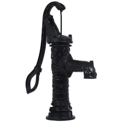 vidaXL Pompe à eau manuelle de jardin Fonte - TU