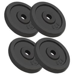 vidaXL Plaque de poids 4 pcs 4x5 kg Fonte - TU