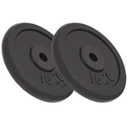 vidaXL Plaque de poids 2 pcs 2x10 kg Fonte - TU