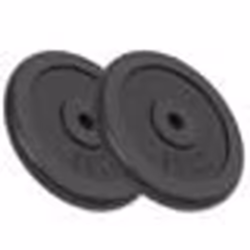 vidaXL Plaque de poids 2 pcs 2x15 kg Fonte