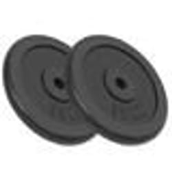 vidaXL Plaque de poids 2 pcs 2x15 kg Fonte