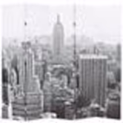 vidaXL Cloison de séparation pliable 200x170 cm New York Noir et blanc - TU