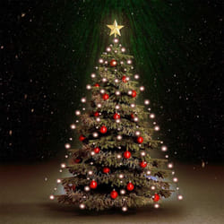 Vidaxl - Guirlande lumineuse d arbre de Noël avec 180 led 180 cm