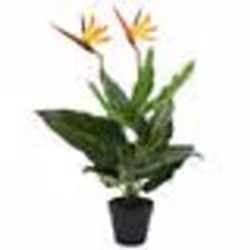 vidaXL Plante artificielle Strelitzia Reginae Oiseau de Paradis 66 cm - TU