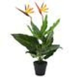 vidaXL Plante artificielle Strelitzia Reginae Oiseau de Paradis 66 cm - TU