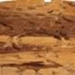 vidaXL Tables basses 2 pcs Bois massif