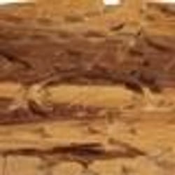 vidaXL Tables basses 2 pcs Bois massif