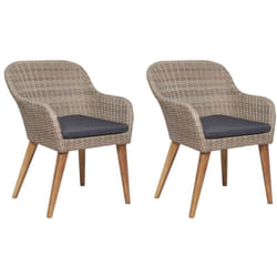 Vidaxl - Chaises d'extérieur et coussins lot de 2 Résine tressée Marron