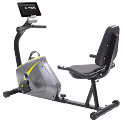 VidaXL 91443 Vélo d'appartement Vélo ergométrique
