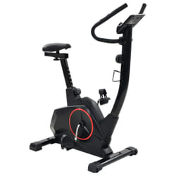 VidaXL 91444 Vélo d'appartement Vélo vertical