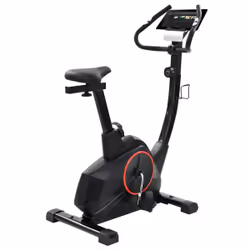 VidaXL 91444 Vélo d'appartement Vélo vertical