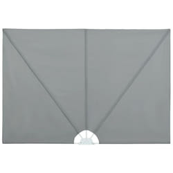 Vidaxl - Auvent latéral pliable de terrasse Gris 300 x 150 cm