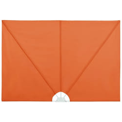 Auvent latéral pliable de terrasse Terre cuite 300 x 150 cm Vidaxl