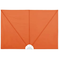 Auvent latéral pliable de terrasse Terre cuite 300 x 200 cm Vidaxl
