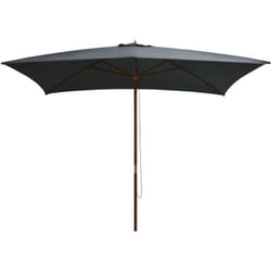 Parasol d'extérieur avec mât en bois 200 x 300 cm Anthracite