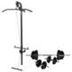 vidaXL Tour de musculation murale avec jeu d'haltères et poids 60,5 kg - TU