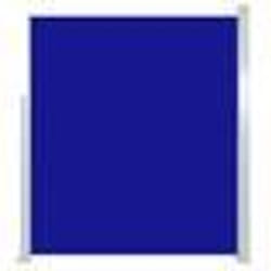 vidaXL Auvent latéral rétractable 160 x 500 cm Bleu - TU