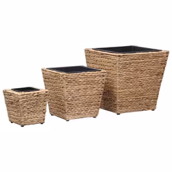 vidaXL Lits surélevés 3 pcs Jacinthe d'eau - TU