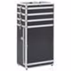 vidaXL Chariot de maquillage Aluminium Noir - TU
