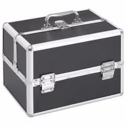 Présentation du Produit La Mallette à maquillage 22x30x21 cm Noir Aluminium de VIDAXL est conçue pour répondre aux besoins de ...