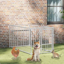 Chenil d'extérieur pour chiens 100 x 200 x 100 cm Vidaxl