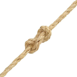 vidaXL Corde 100 % en sisal 6 mm 500 m - TU