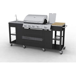 VidaXL 40426 barbecue et grill Ensemble de cuisson Gaz Noir, Acier inoxydable 2900 W