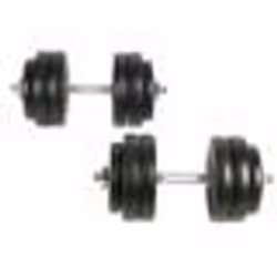 vidaXL 2x Haltères Poids Barres Disques à Revêtement Plastique Gymnase Sport 90235