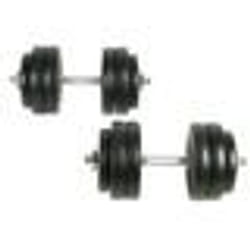 vidaXL 2x Haltères Poids Barres Disques à Revêtement Plastique Gymnase Sport 90235