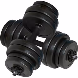 vidaXL Haltères 2 x 15 kg - TU