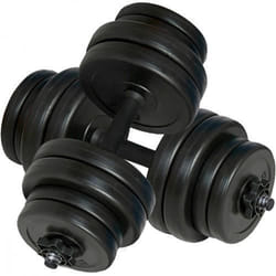vidaXL Haltères 2 x 15 kg - TU