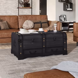 vidaXL Coffre de rangement en bois Large Noir - TU